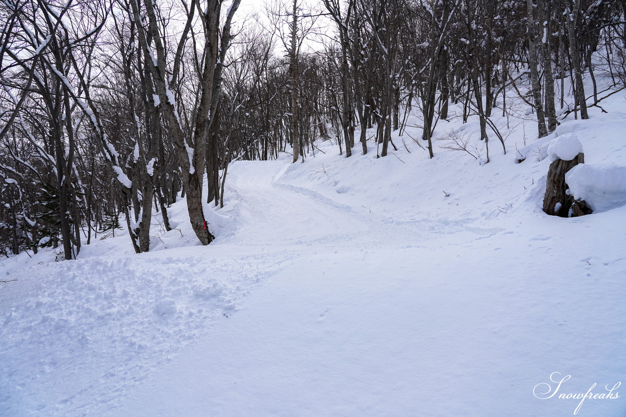 札幌藻岩山スキー場 ゲレンデの積雪は今季最深の125cm！コンディション良好で素晴らしいスキー日和に♪